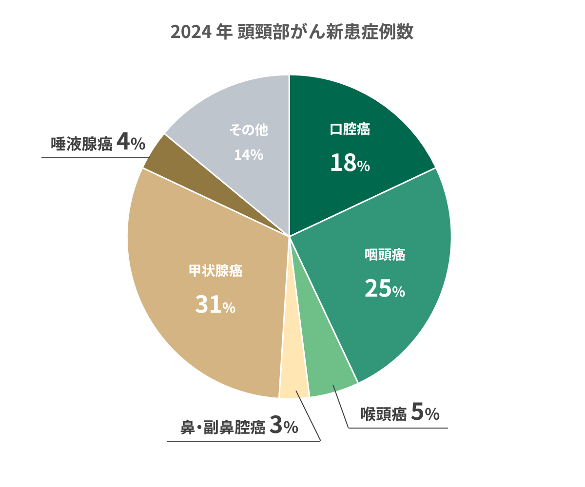 2024年手術件数内訳