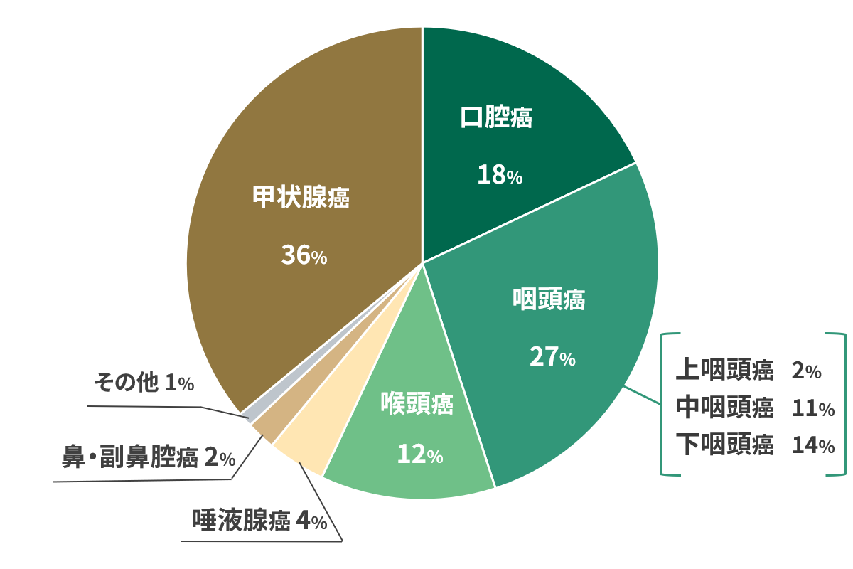 2025年手術件数内訳